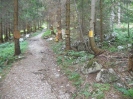 Mariazell 2012
