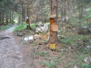 Mariazell 2012_16