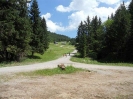 Mariazell 2012_22